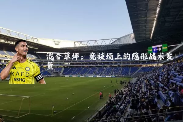 混合草坪:竞技场上的隐形战术变量